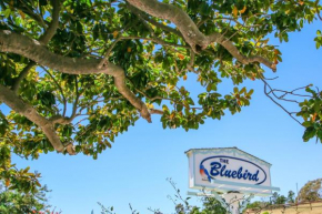 Bluebird Inn